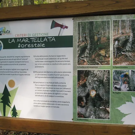Casa Nel Bosco Alle Macinaie * מונטה אמיאטה