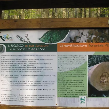 דירה Casa Nel Bosco Alle Macinaie מונטה אמיאטה