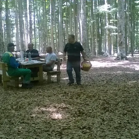 דירה Casa Nel Bosco Alle Macinaie