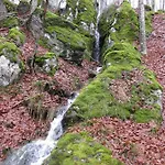 Casa Nel Bosco Alle Macinaie * Monte Amiata