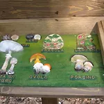 Casa Nel Bosco Alle Macinaie *