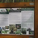 Casa Nel Bosco Alle Macinaie