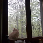 Casa Nel Bosco Alle Macinaie