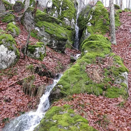 Casa Nel Bosco Alle Macinaie * מונטה אמיאטה