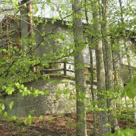דירה Casa Nel Bosco Alle Macinaie *