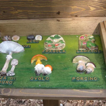 Casa Nel Bosco Alle Macinaie *