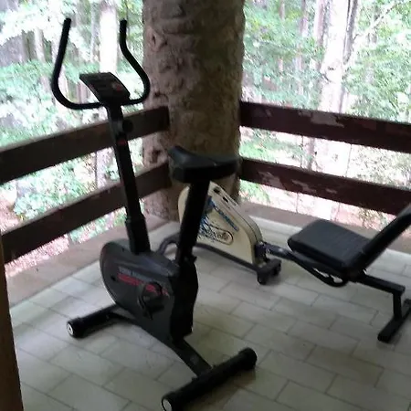 Casa Nel Bosco Alle Macinaie * Monte Amiata