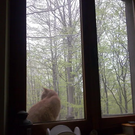 Casa Nel Bosco Alle Macinaie