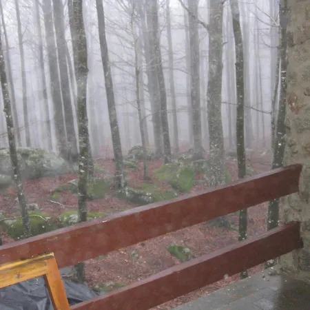 Casa Nel Bosco Alle Macinaie דירה מונטה אמיאטה
